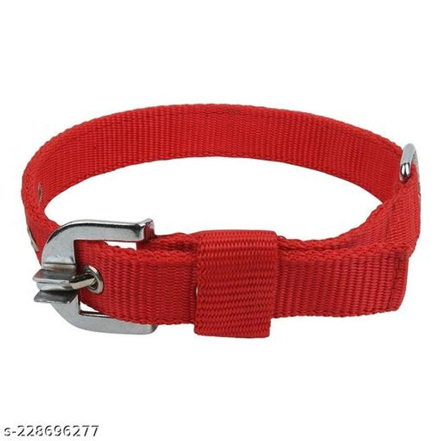 Nylon Collar Neck Belt (Multicolor, XL)